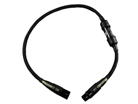 Audiomica Calcit Gold - XLR