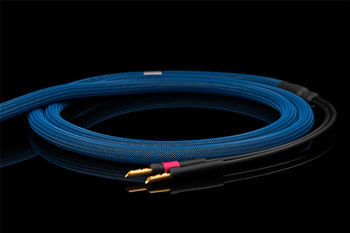 Albedo Blue - głośnikowy - banany BFA