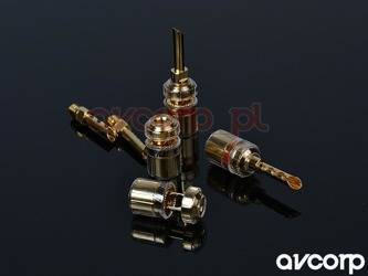 Supra CombiCon Banana - wtyki BFA