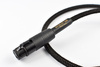 Audiomica Calcit Gold - XLR