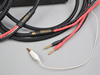 Audiomica Kammer Gold - single-wire- banany