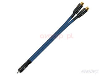 Wireworld OASIS 7 - Adapter Y RCA M-FF (OAIYMFF)