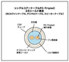 Acoustic Revive SPC-Triple C Double Bi-Wire