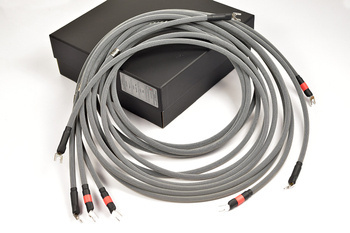 Albedo Geo MKII - głośnikowy - widełki