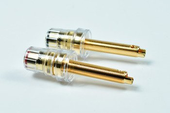 Supra BoxCon - gniazda głośnikowe