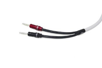 Chord C-screen - single-wire - banany ChordOhmic