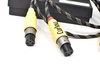 Curious Interconnect Cable - XLR
