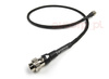 Chord Signature Tuned ARAY - 4DIN-1XLR (NAP250)