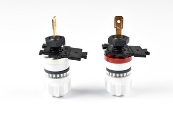 WBT 0703 Cu nextgen  - gniazda głośnikowe