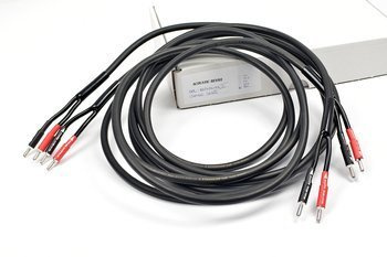 Acoustic Revive SPC-REFERENCE II / Oyaide SRBN - banany